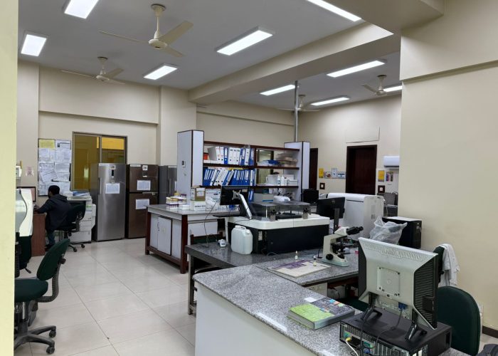 img 20260101 wa0045 (1)